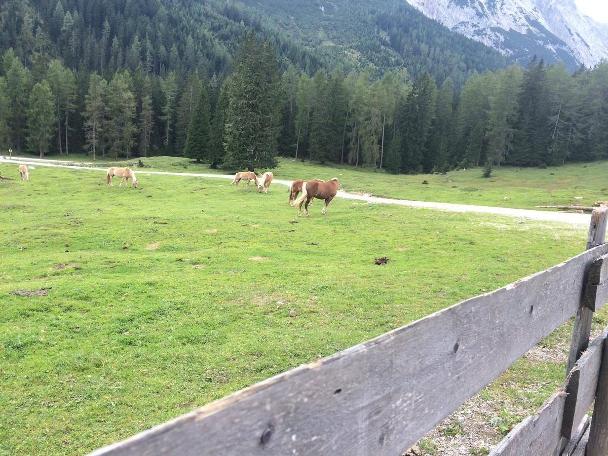 Landhaus Ahrn Leutasch Dış mekan fotoğraf