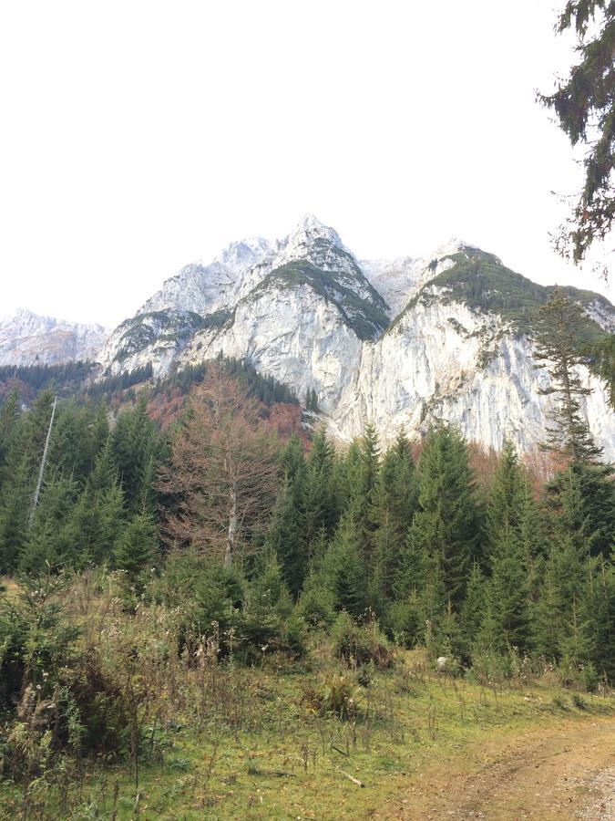 Landhaus Ahrn Leutasch Dış mekan fotoğraf
